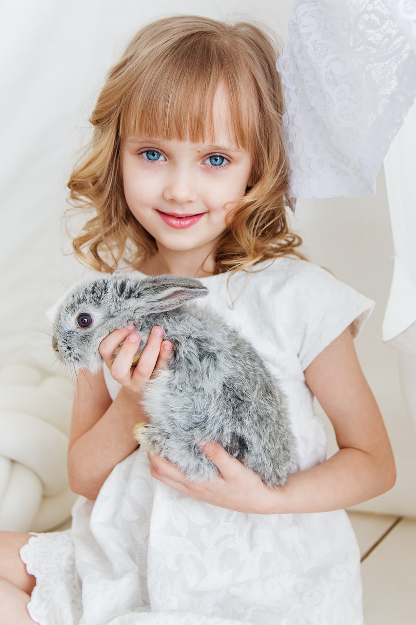 rabbit  hare  baby free photo