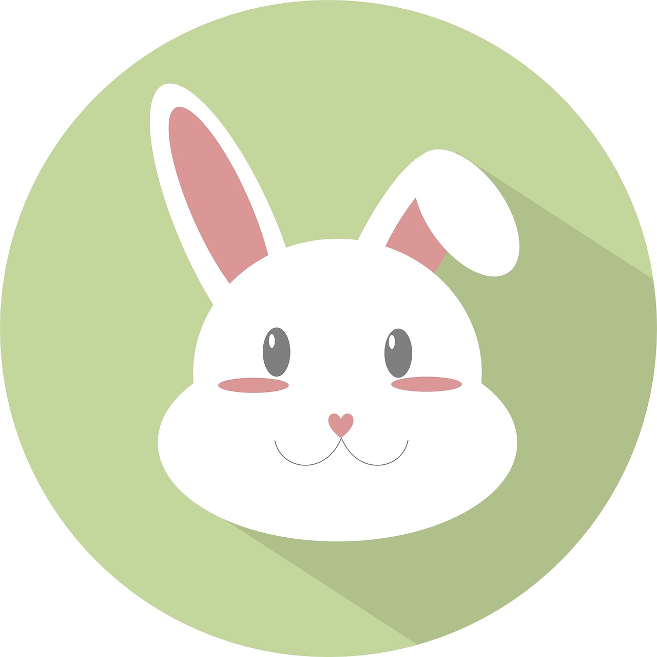 rabbit  rabbit icon  animal free photo