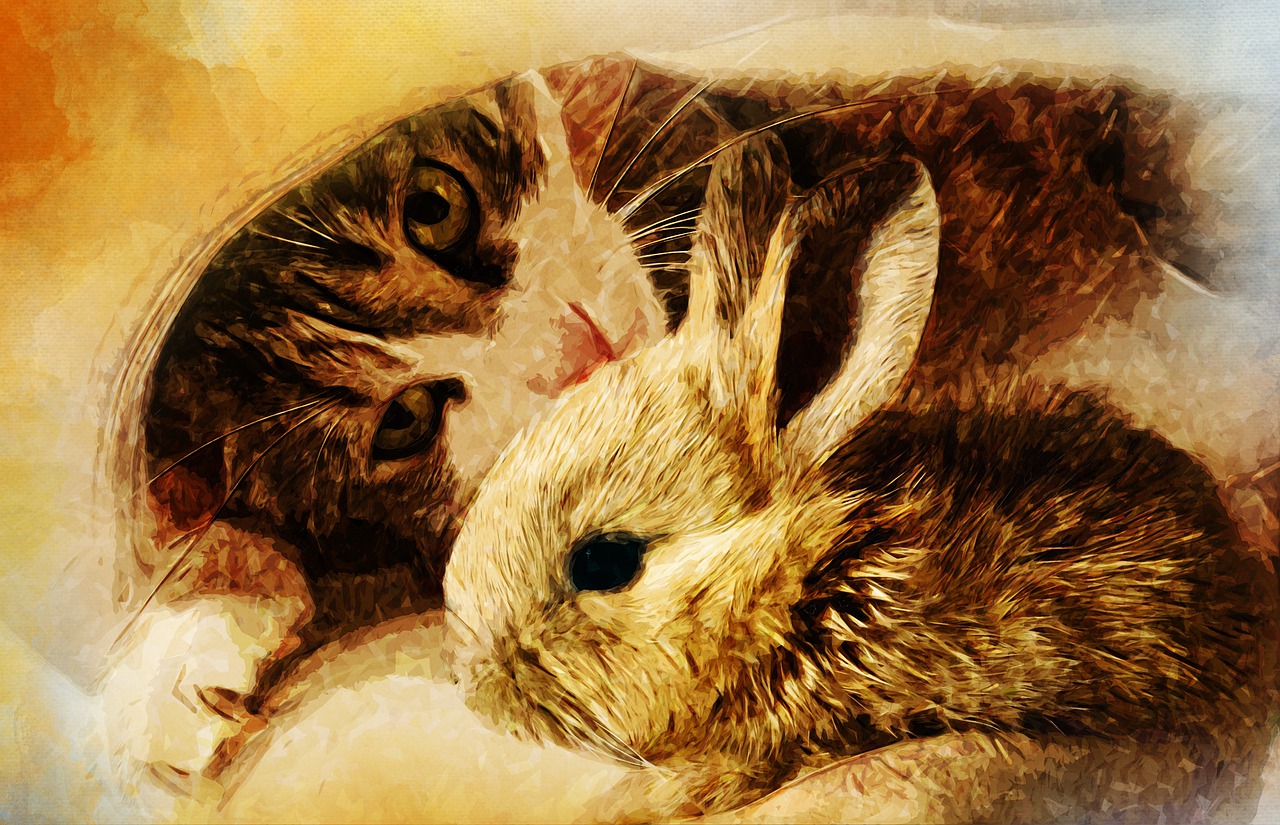 Кошка и кролик рисунок