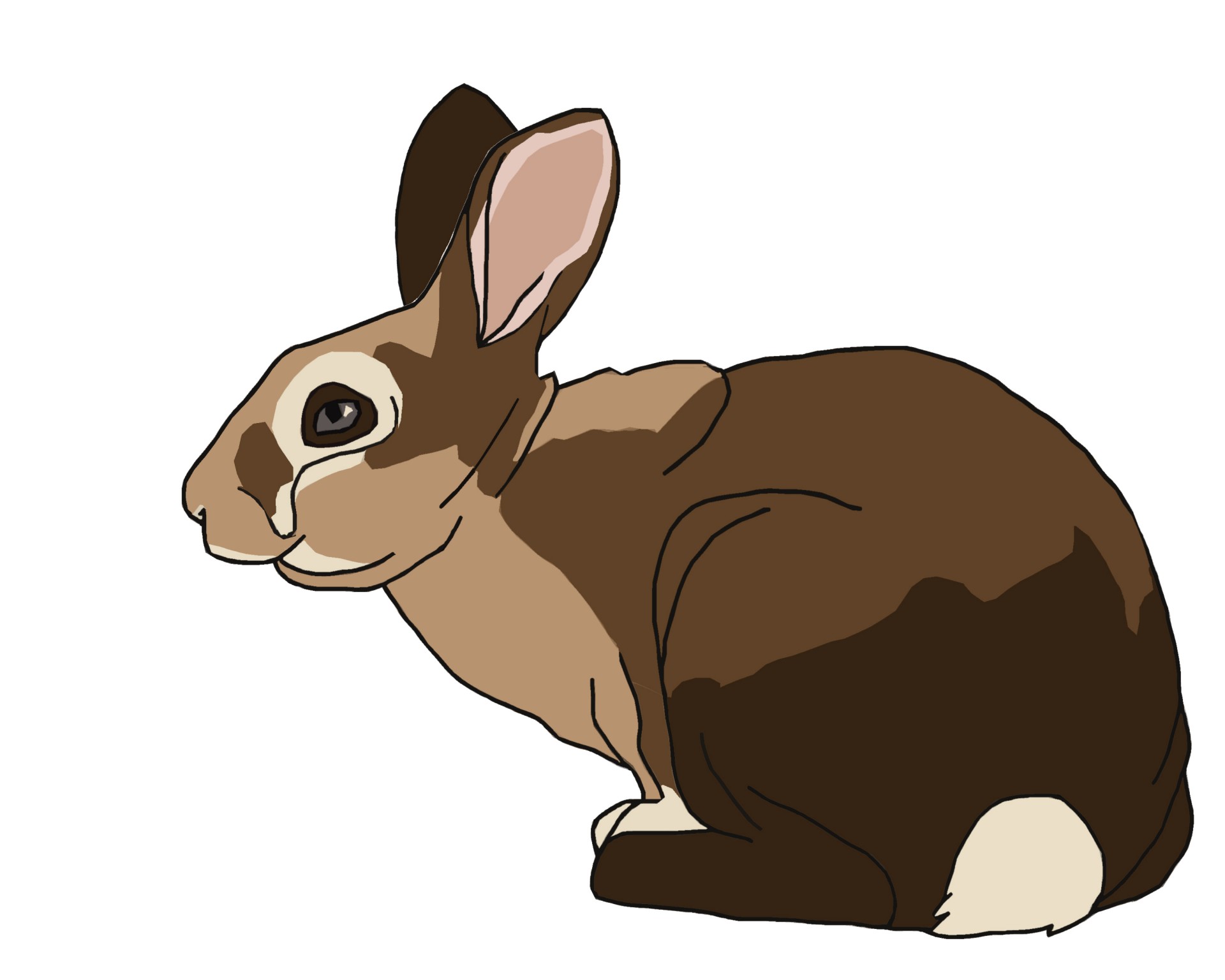 rabbit bunny illustration free photo