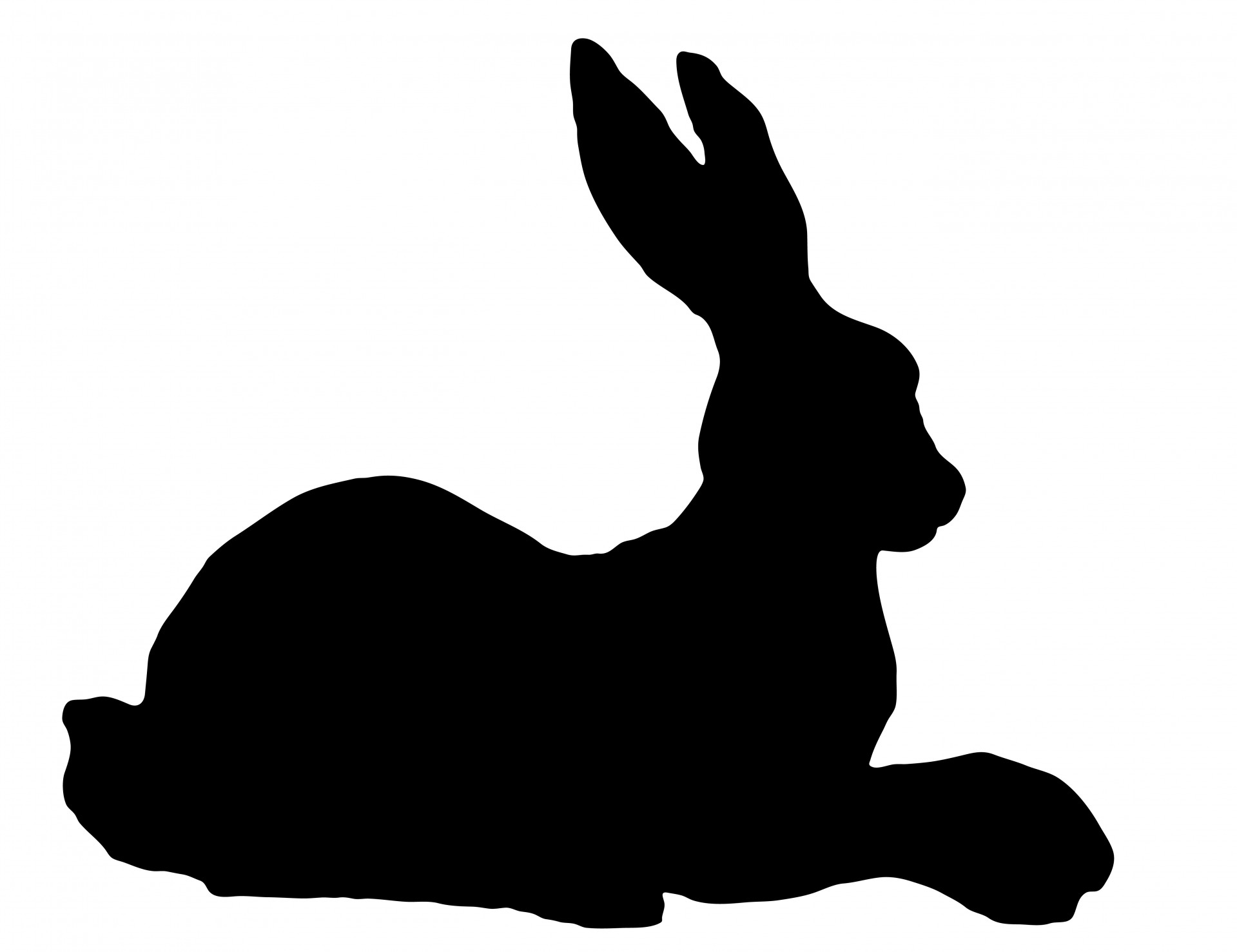 rabbit hare black free photo