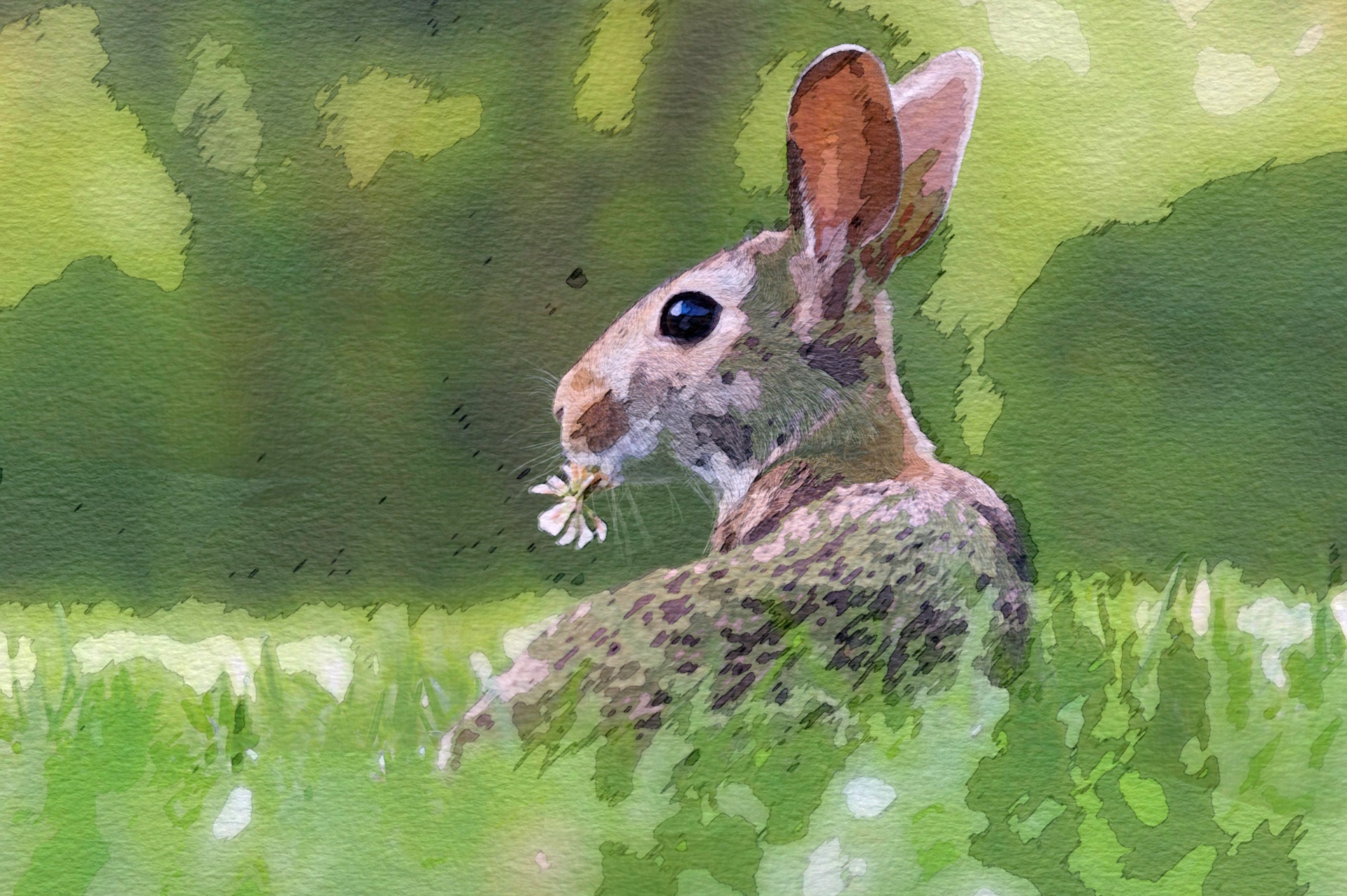 rabbit watercolor watercolour free photo