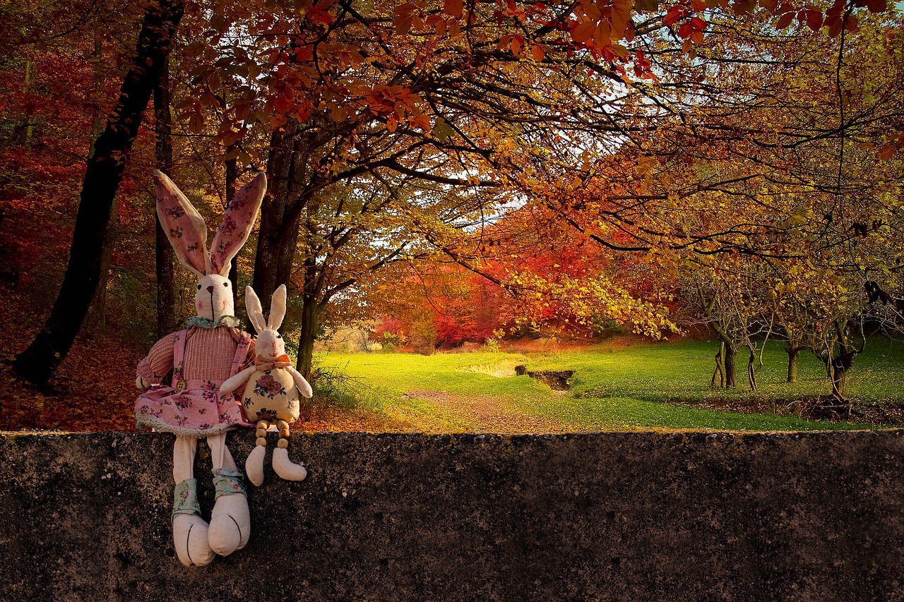rabbits wall autumn free photo