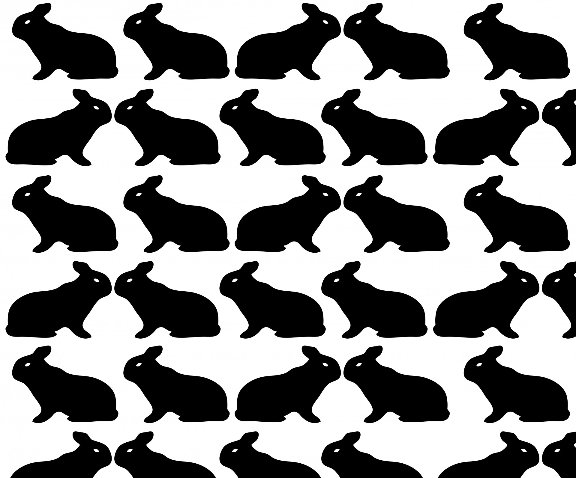 rabbit rabbits bunnie free photo