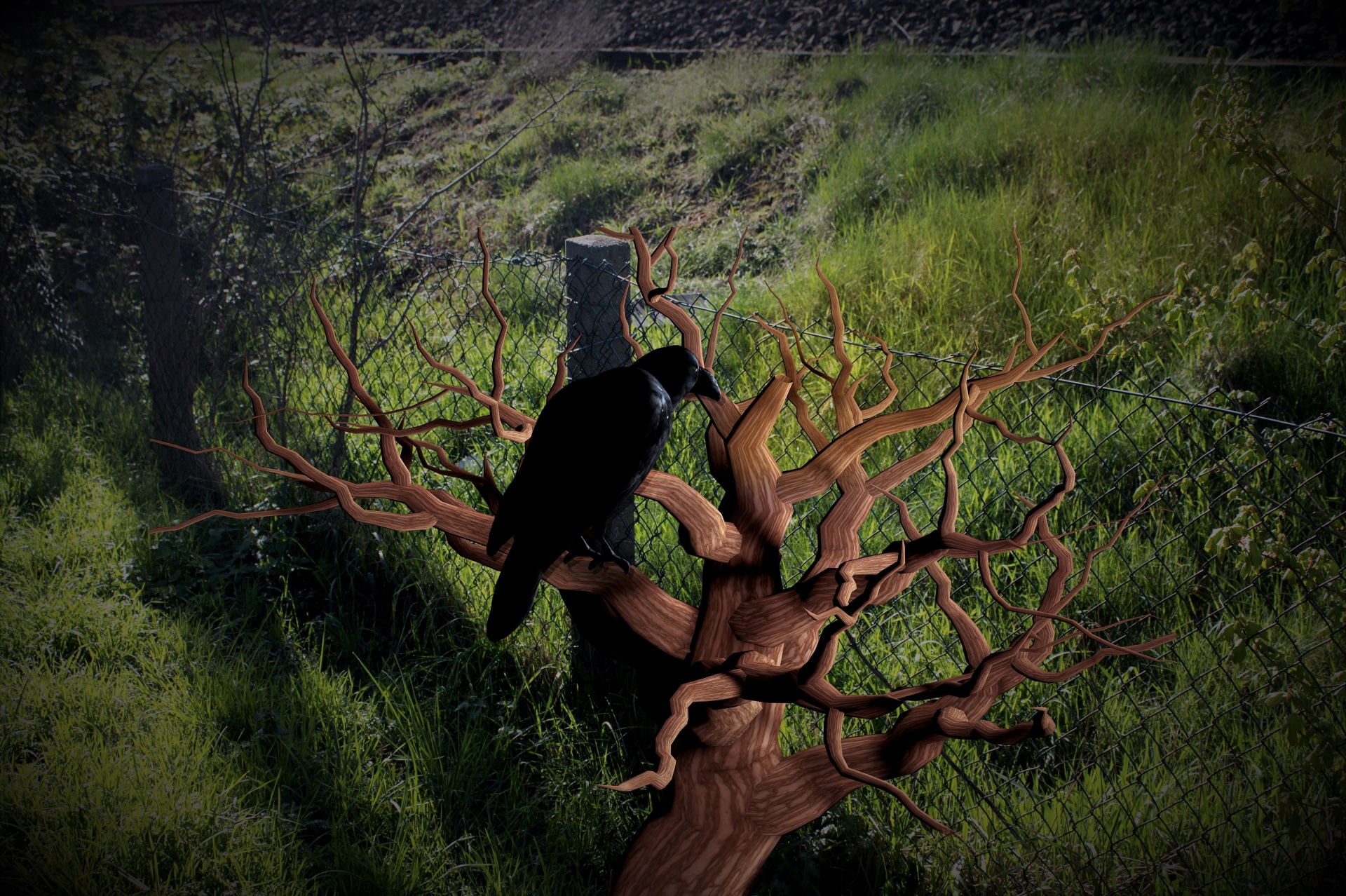 raven tree sky free photo