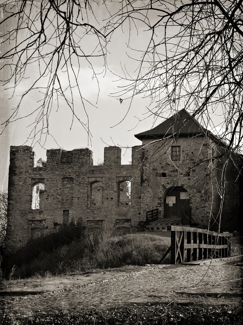 rabsztyn poland castle free photo