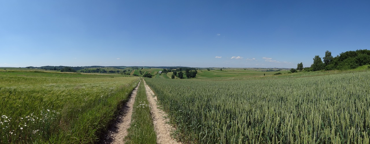 racławice poland landscape free photo