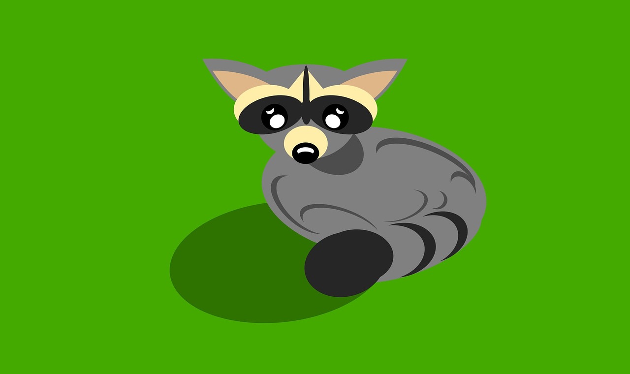 raccoon animals illustration free photo