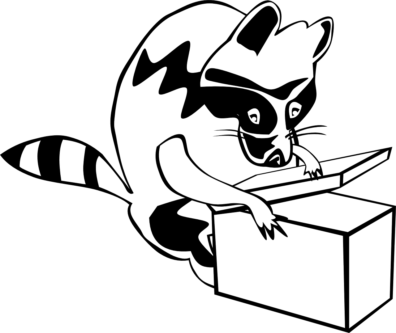 raccoon,box,animal,mammal,opening,free vector graphics,free pictures, free photos, free images, royalty free, free illustrations, public domain
