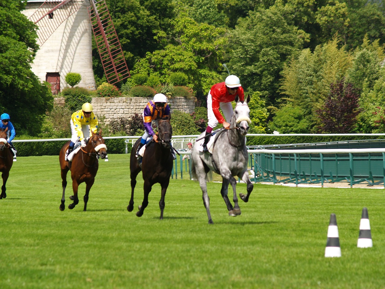 race horses vincennes free photo