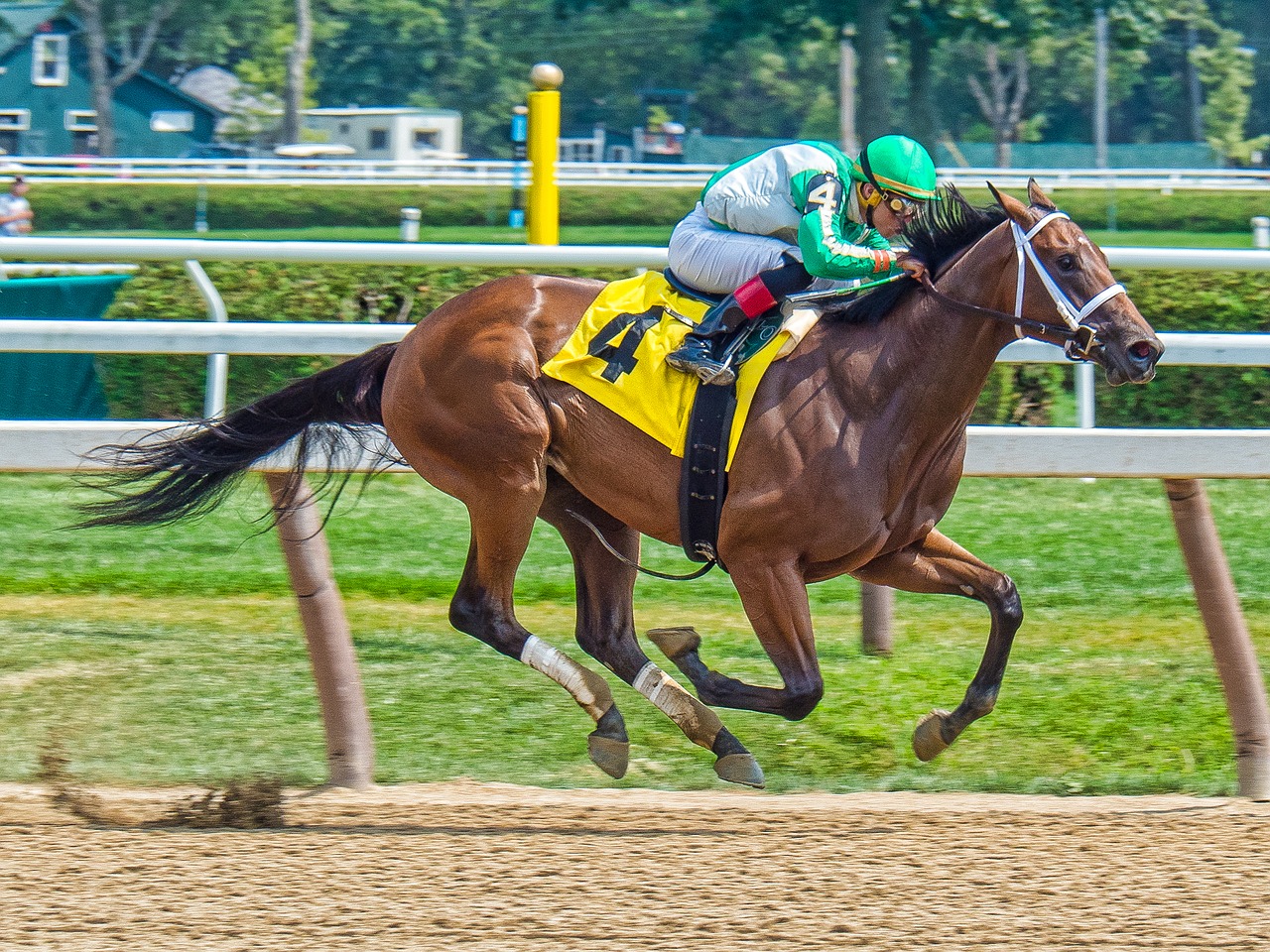 Download free photo of Race horse,jockey,horse,horse racing,speed - from needpix.com