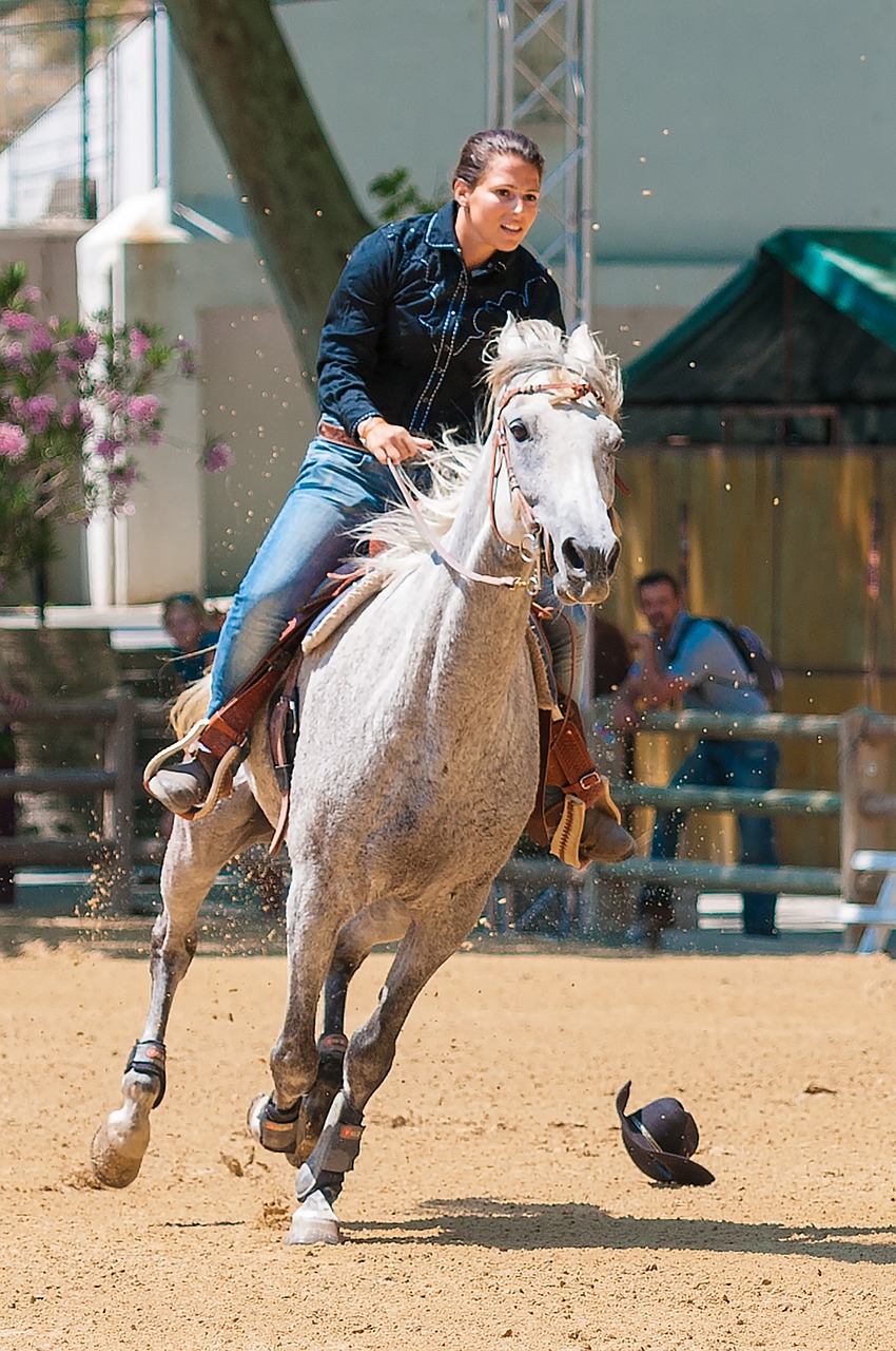 racing contest equestrian free photo