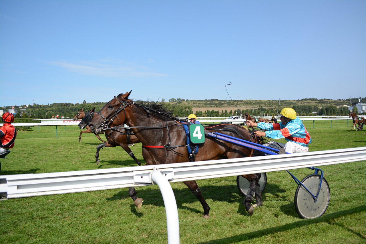 racing competition horse free photo