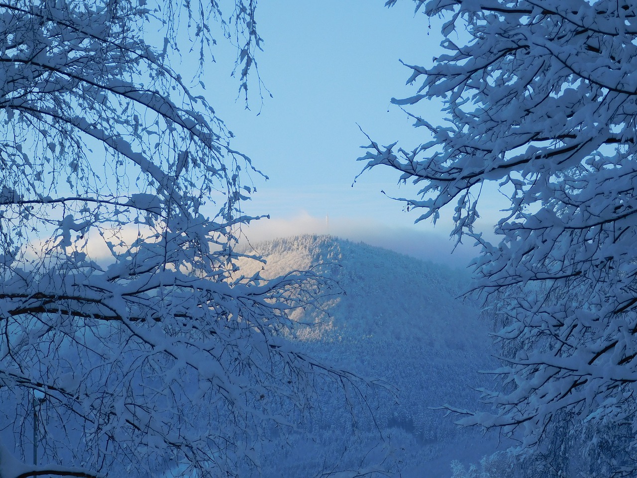 radhošť snowy landscape free photo