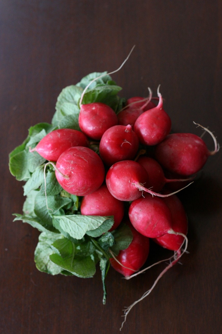 radish organic healthy free photo