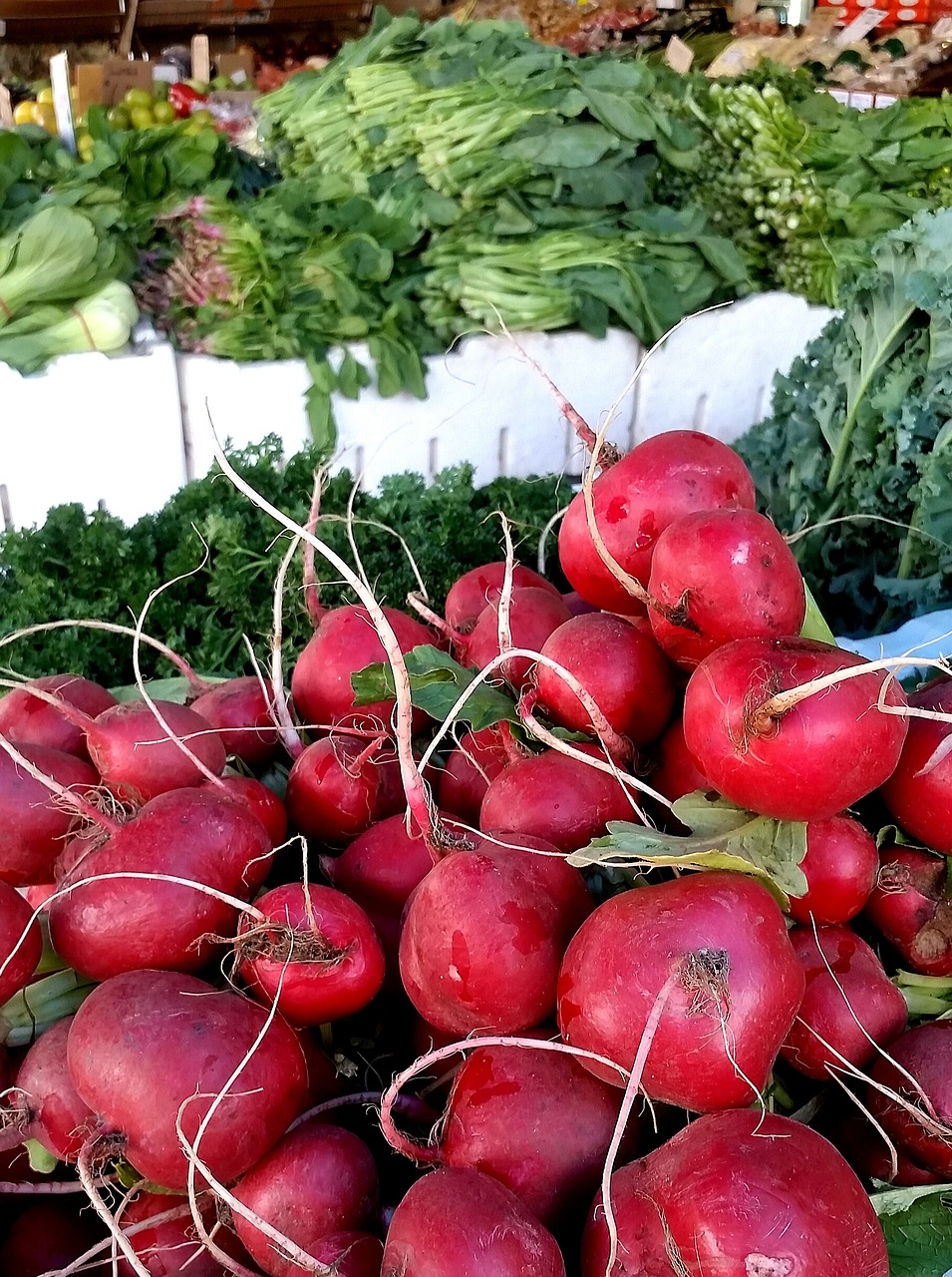 radish vegetables market free photo