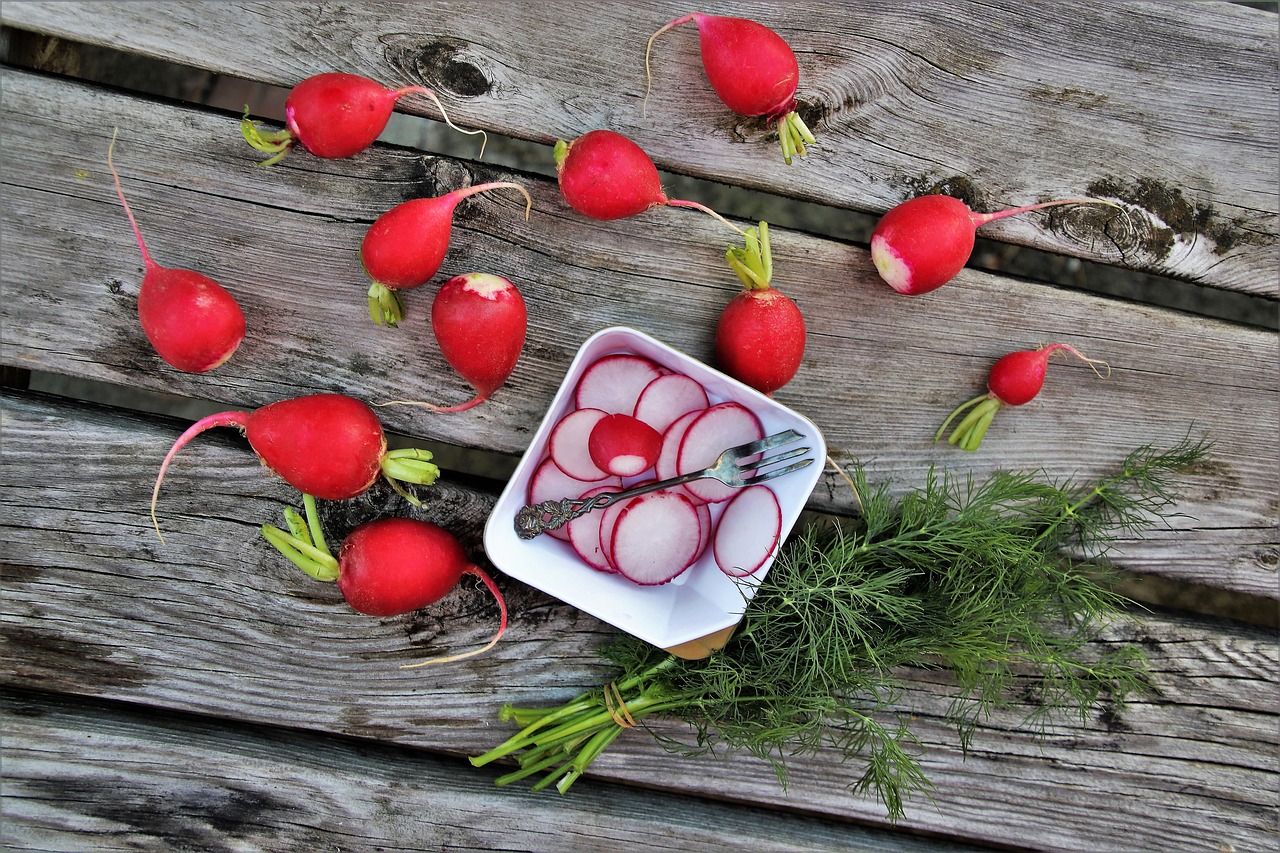 radish  dill  bio free photo