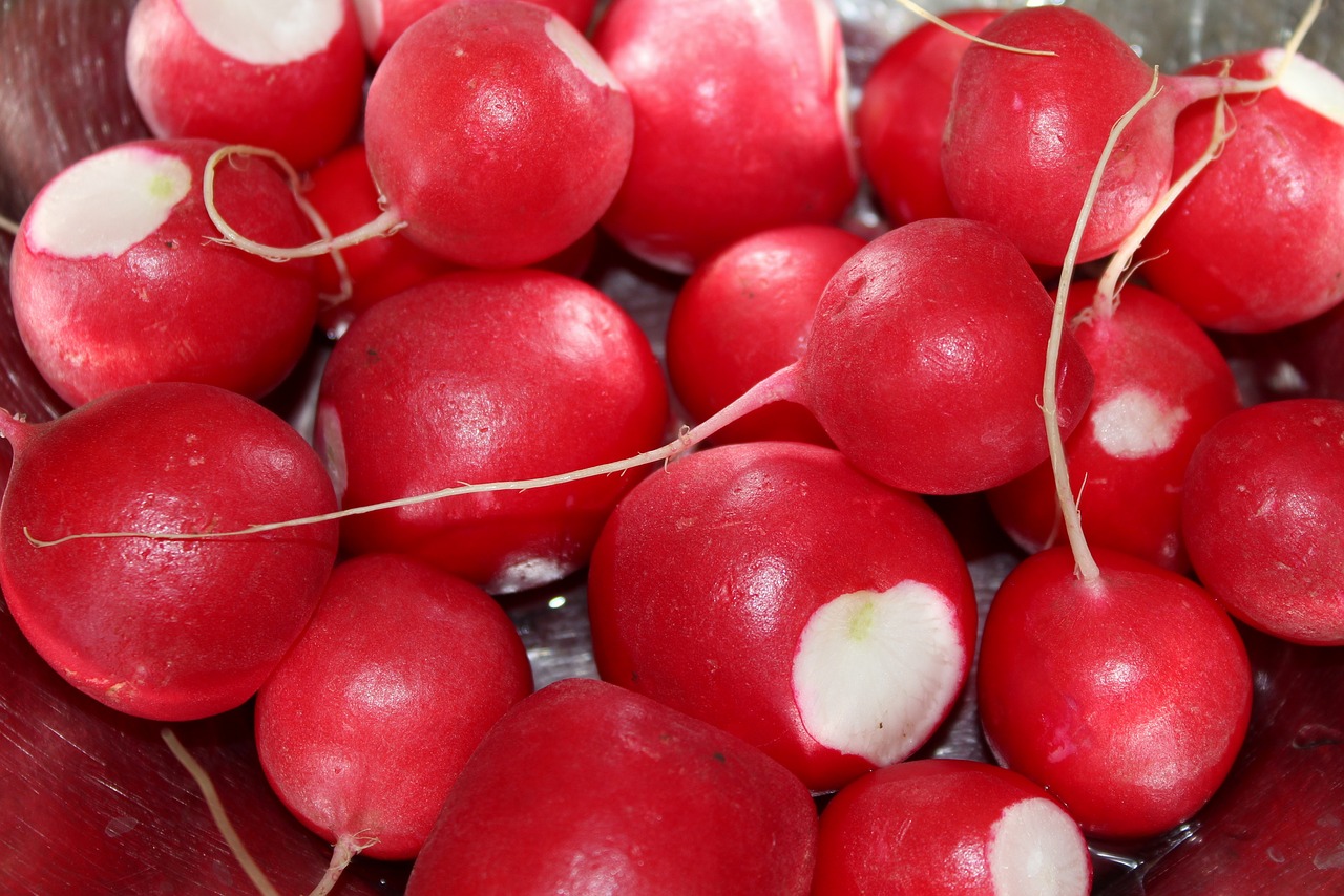 radish  vegetables  red balls free photo