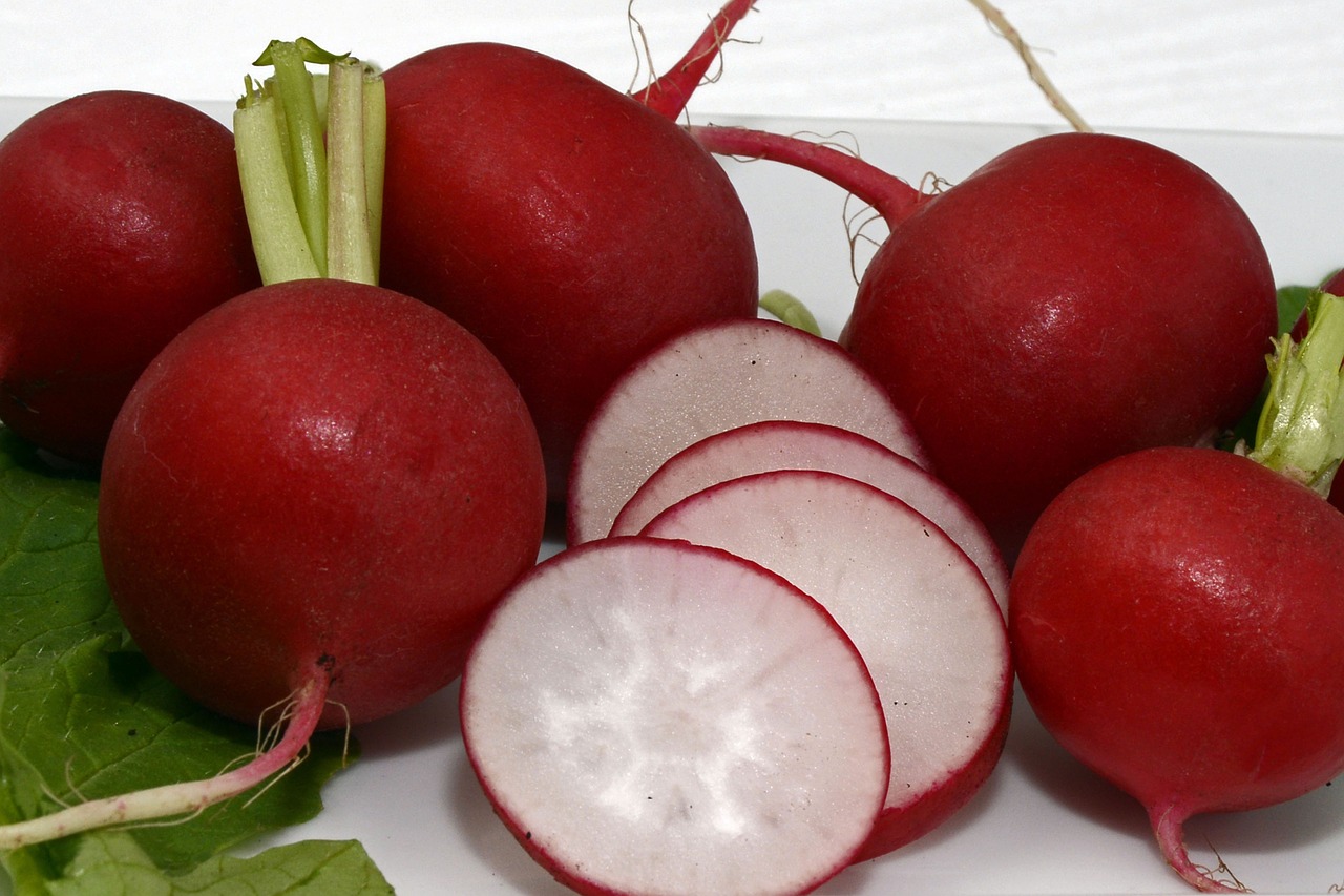 radishes vegetables eat free photo