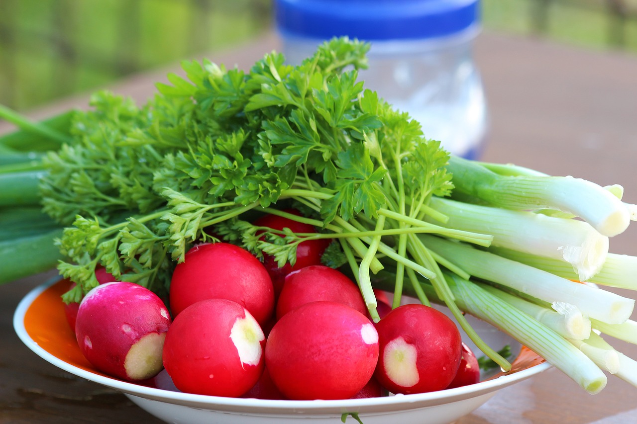 radishes plate red free photo
