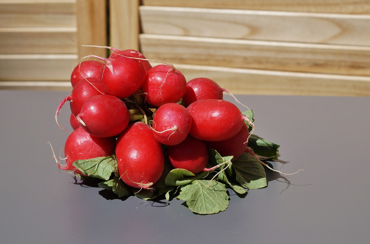 radishes radish vegetables free photo