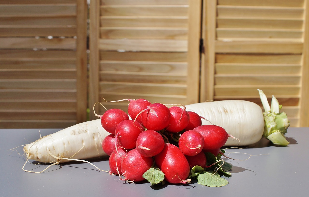 radishes radish vegetables free photo