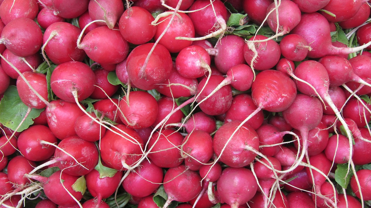 radishes market food free photo