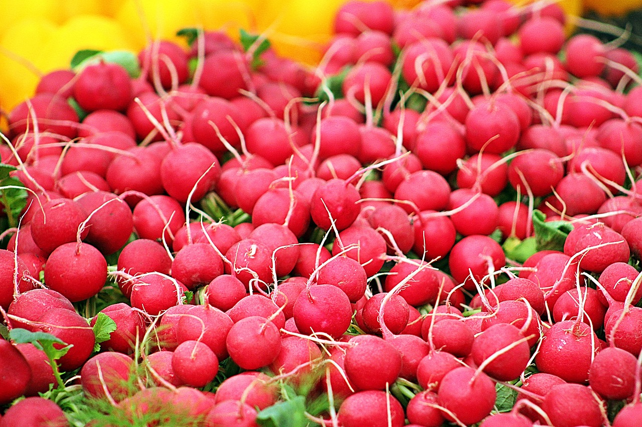 radishes vegetables healthy food free photo