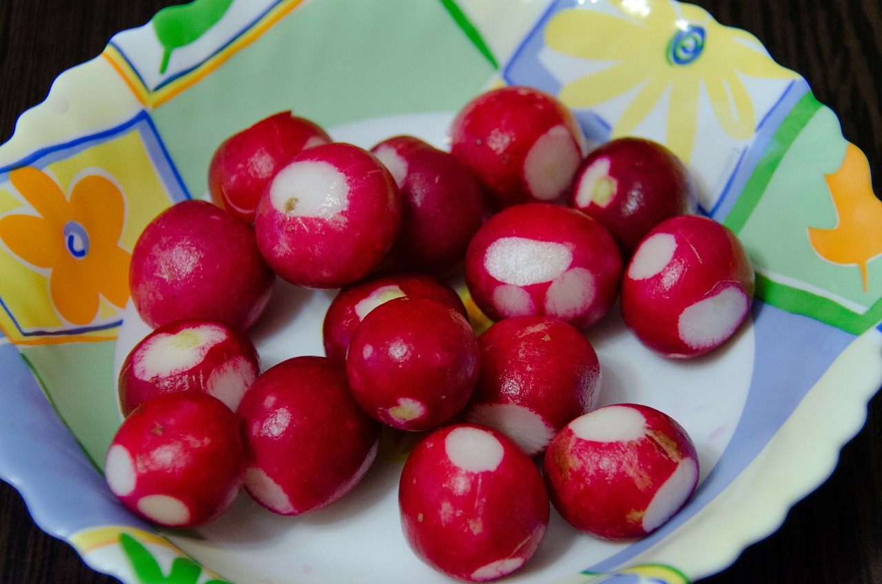 radishes root crop red free photo
