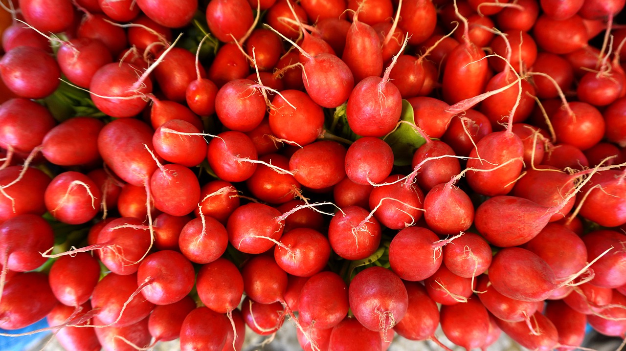 radishes  vegetables  food free photo