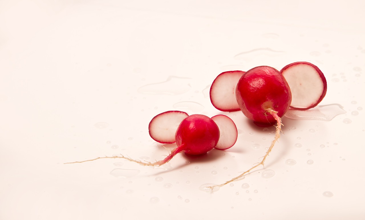 radishes vegetables salad free photo