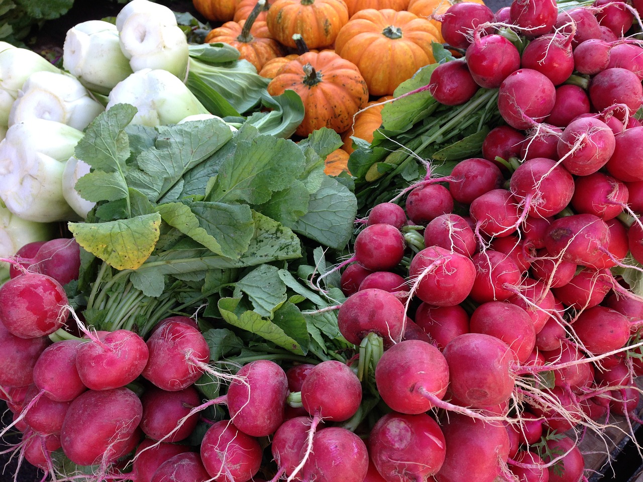 radishes radish pumpkin free photo