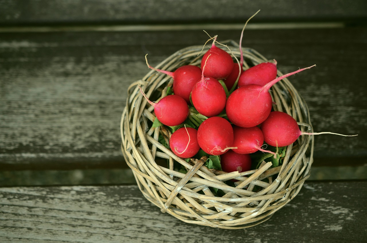 radishes red vegetables free photo