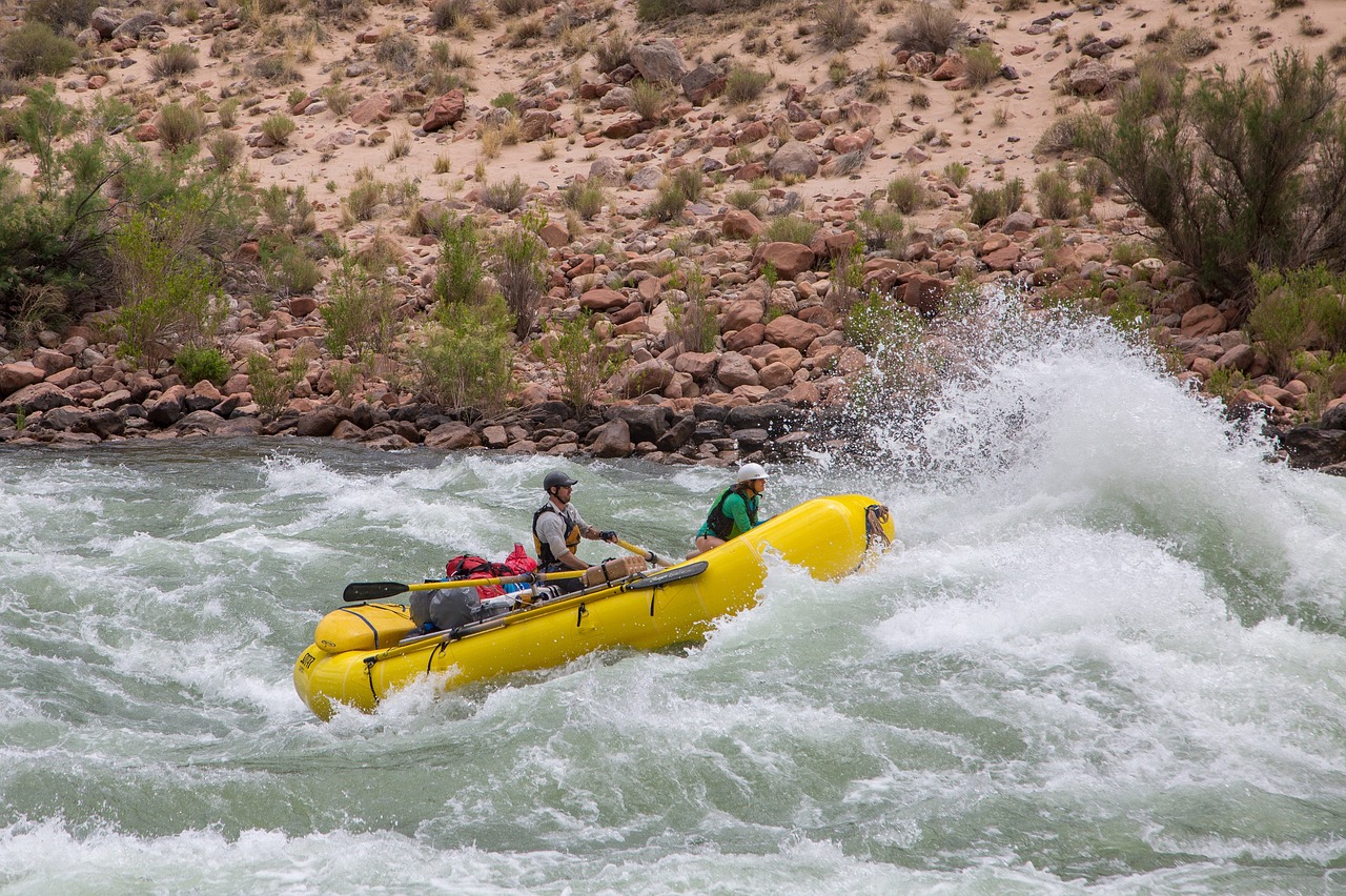 rafting  whitewater  challenge free photo