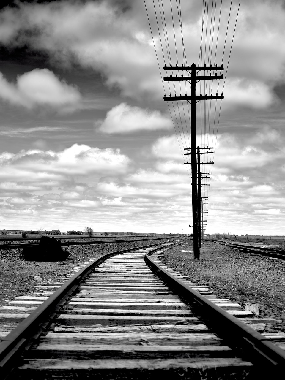 rail rail track track free photo