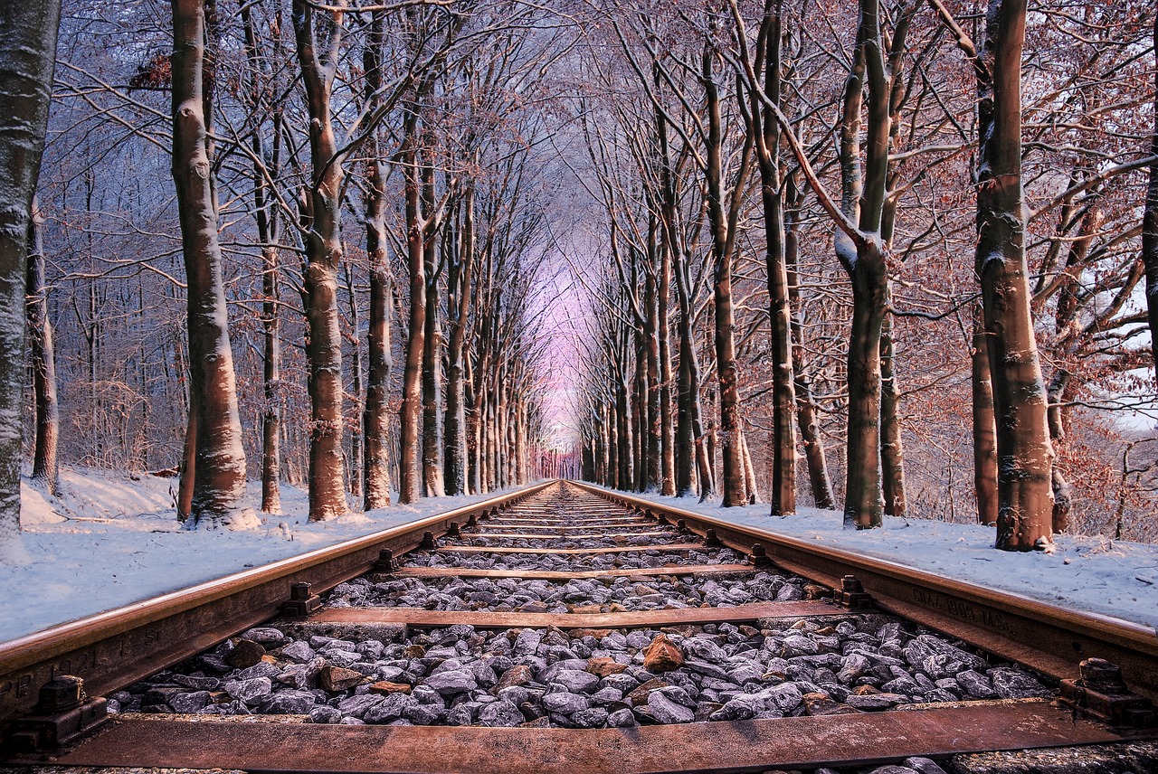 rail road tree free photo