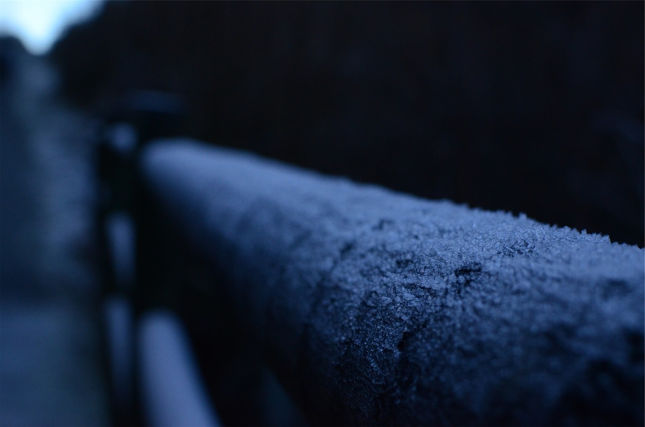 railing frost dark free photo