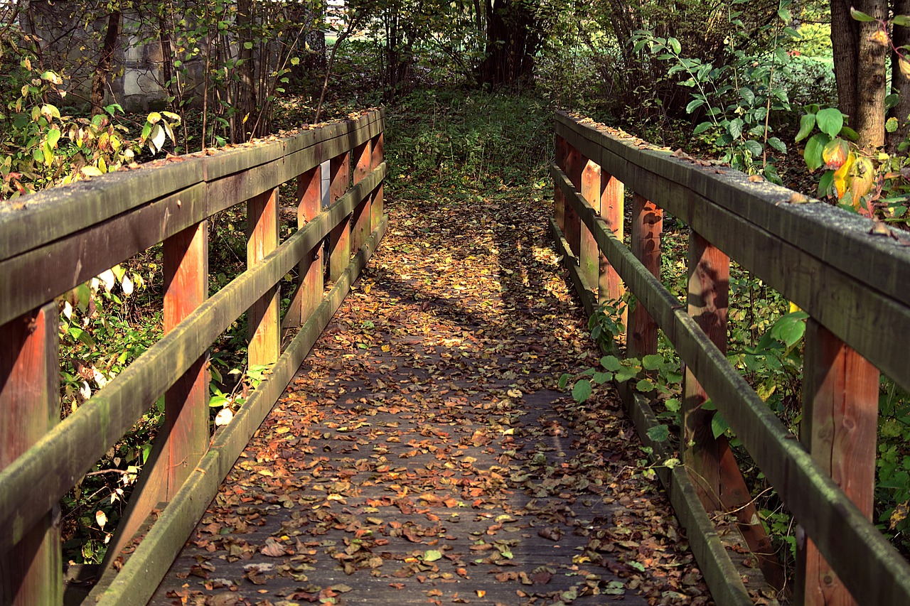 railings bridge wooden free photo
