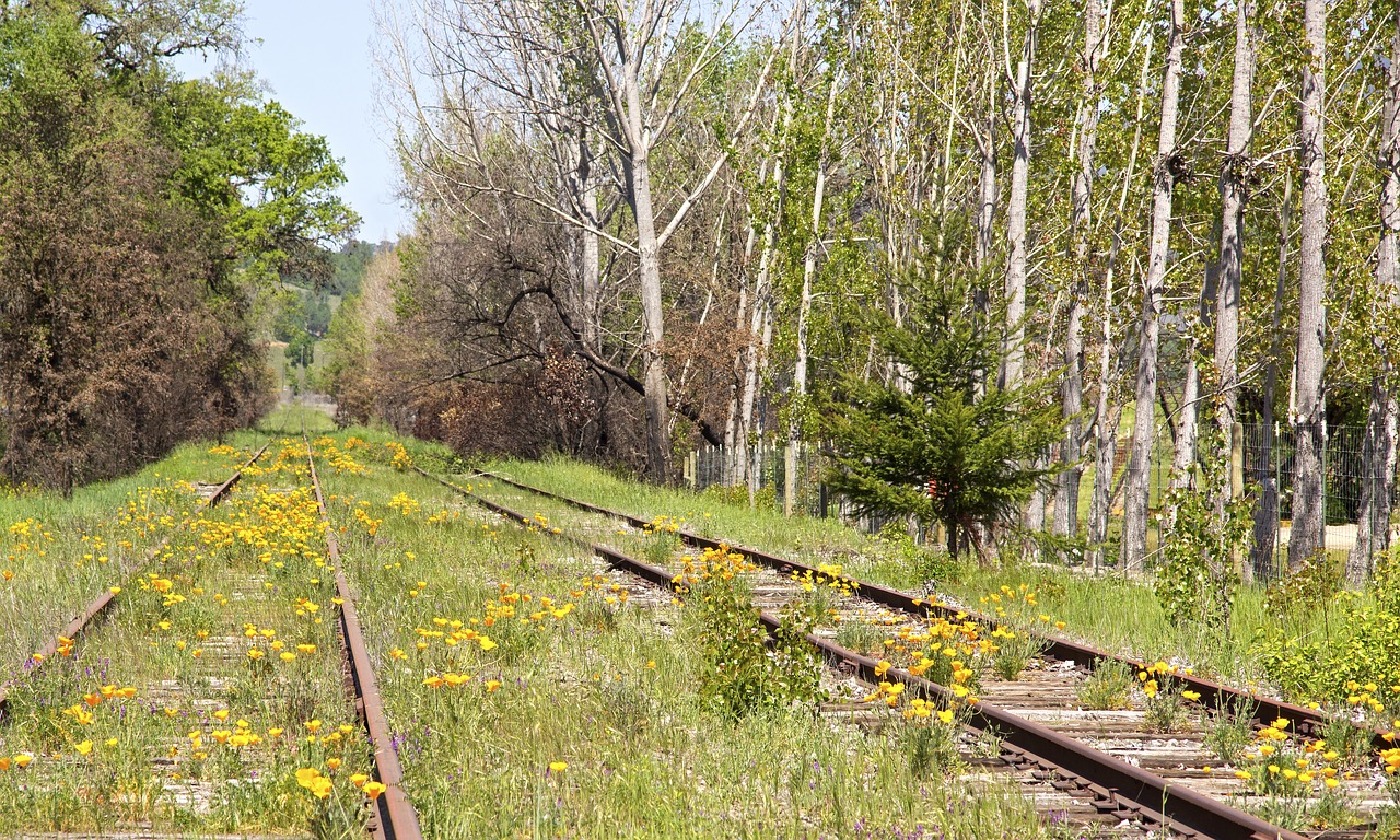 railroad tracks train free photo