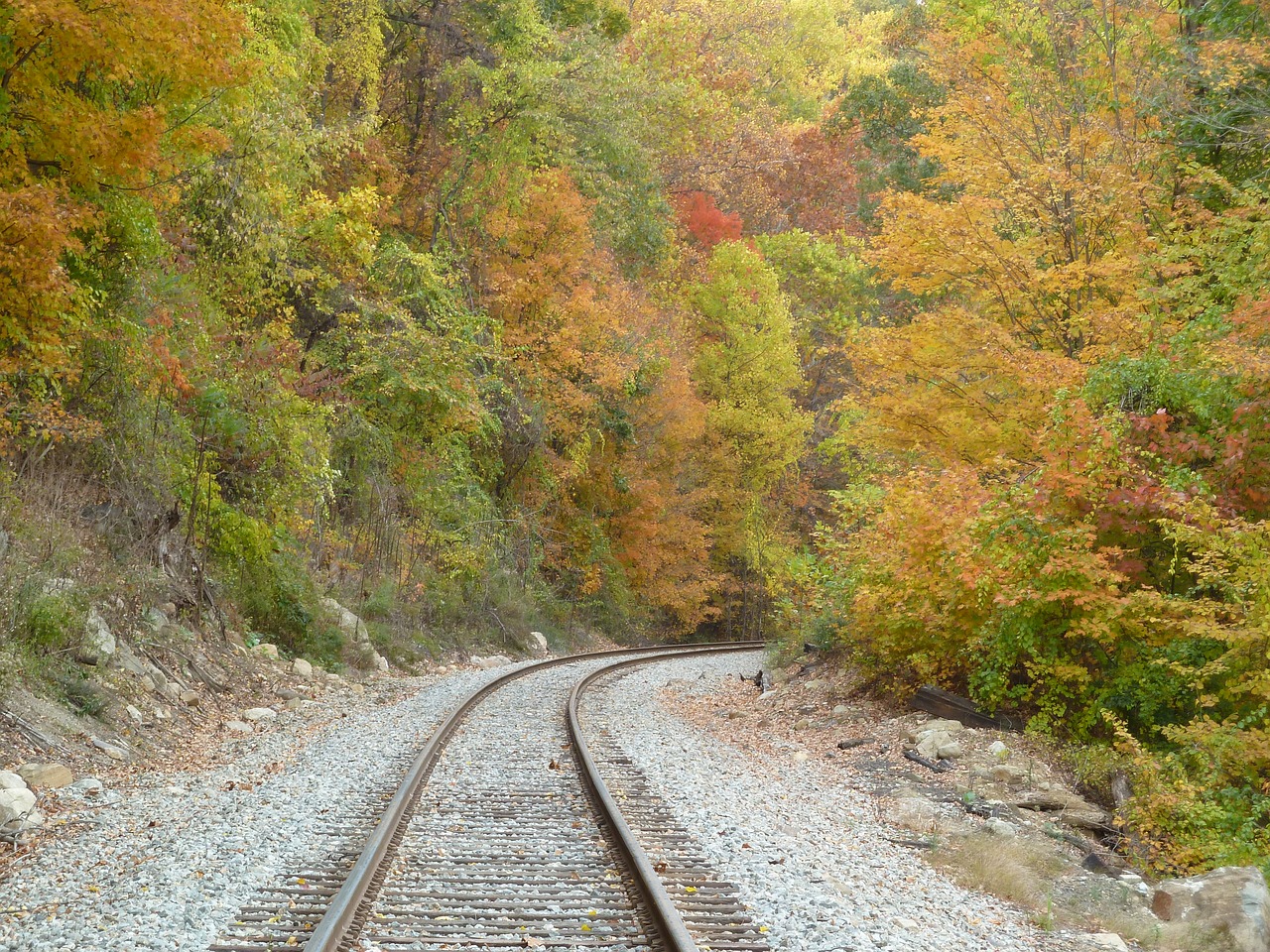 railroad autumn fall free photo