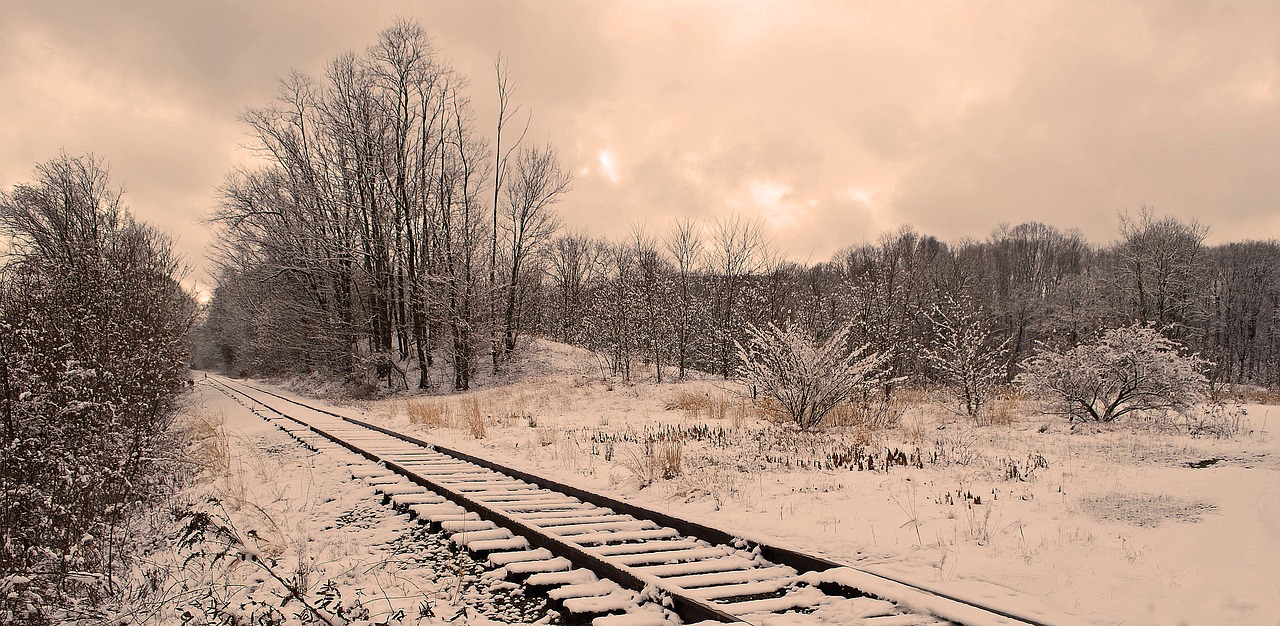 railroad tracks perspective free photo