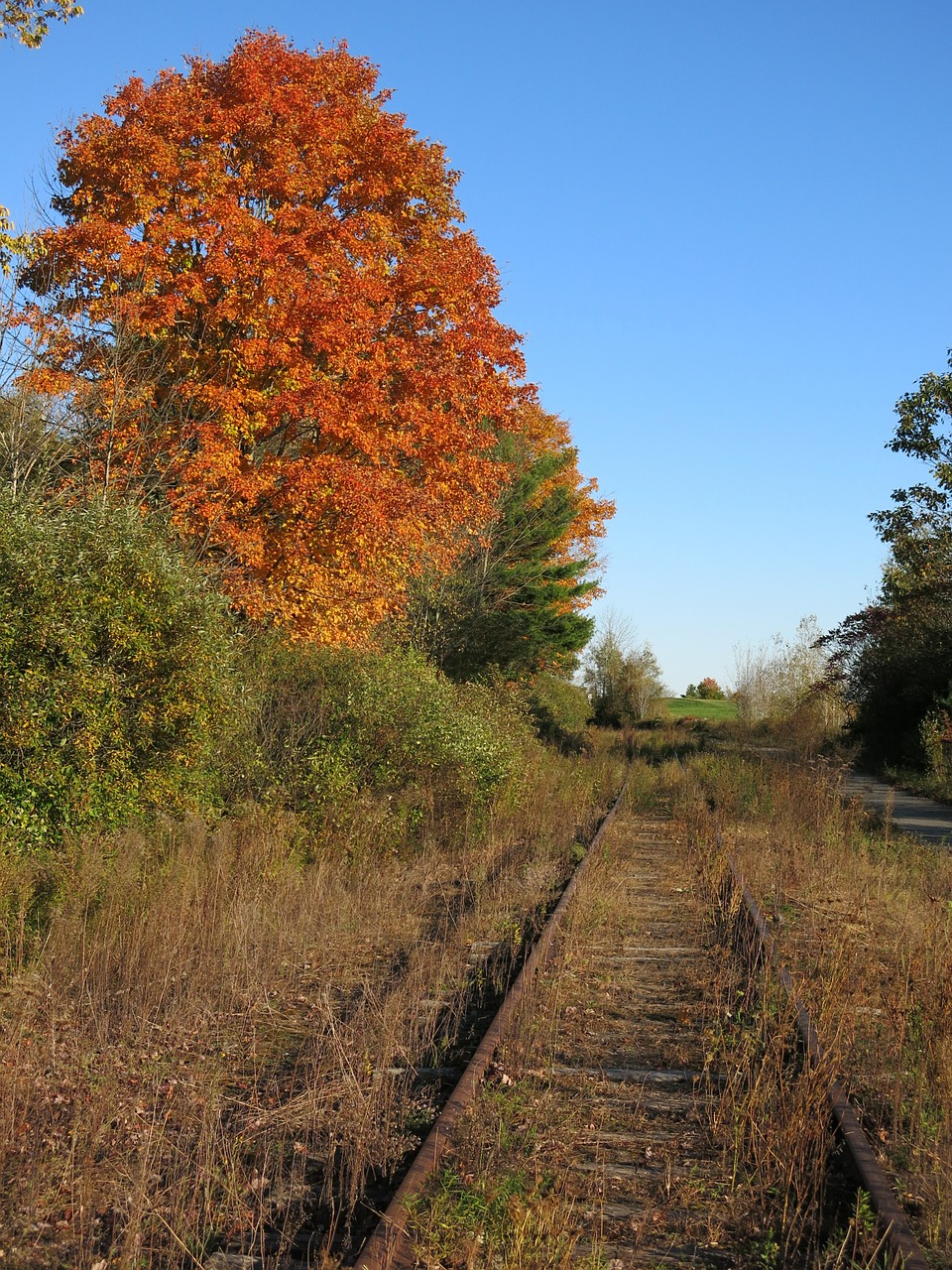 railroad track train free photo