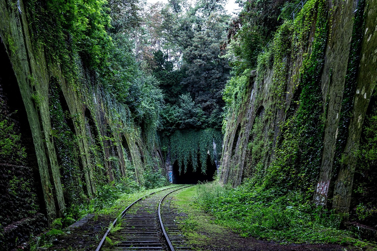 railroad railway train tracks free photo