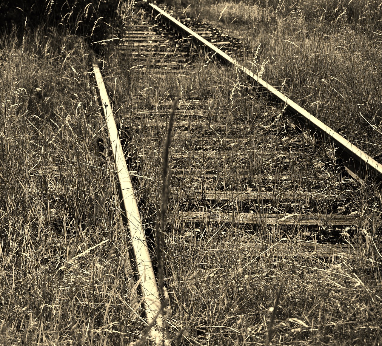 railroad track seemed shut down free photo