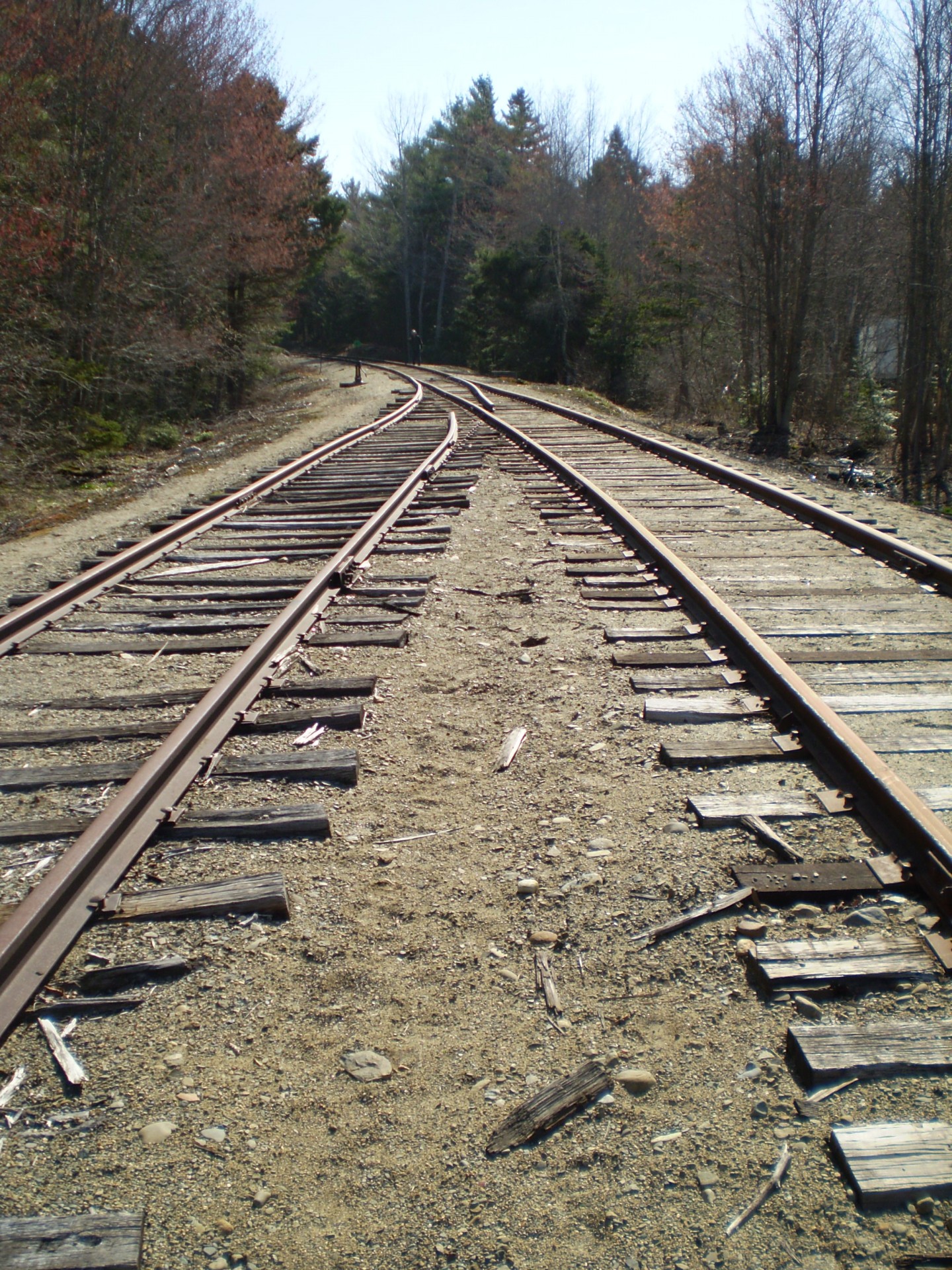 railroad tracks track free photo