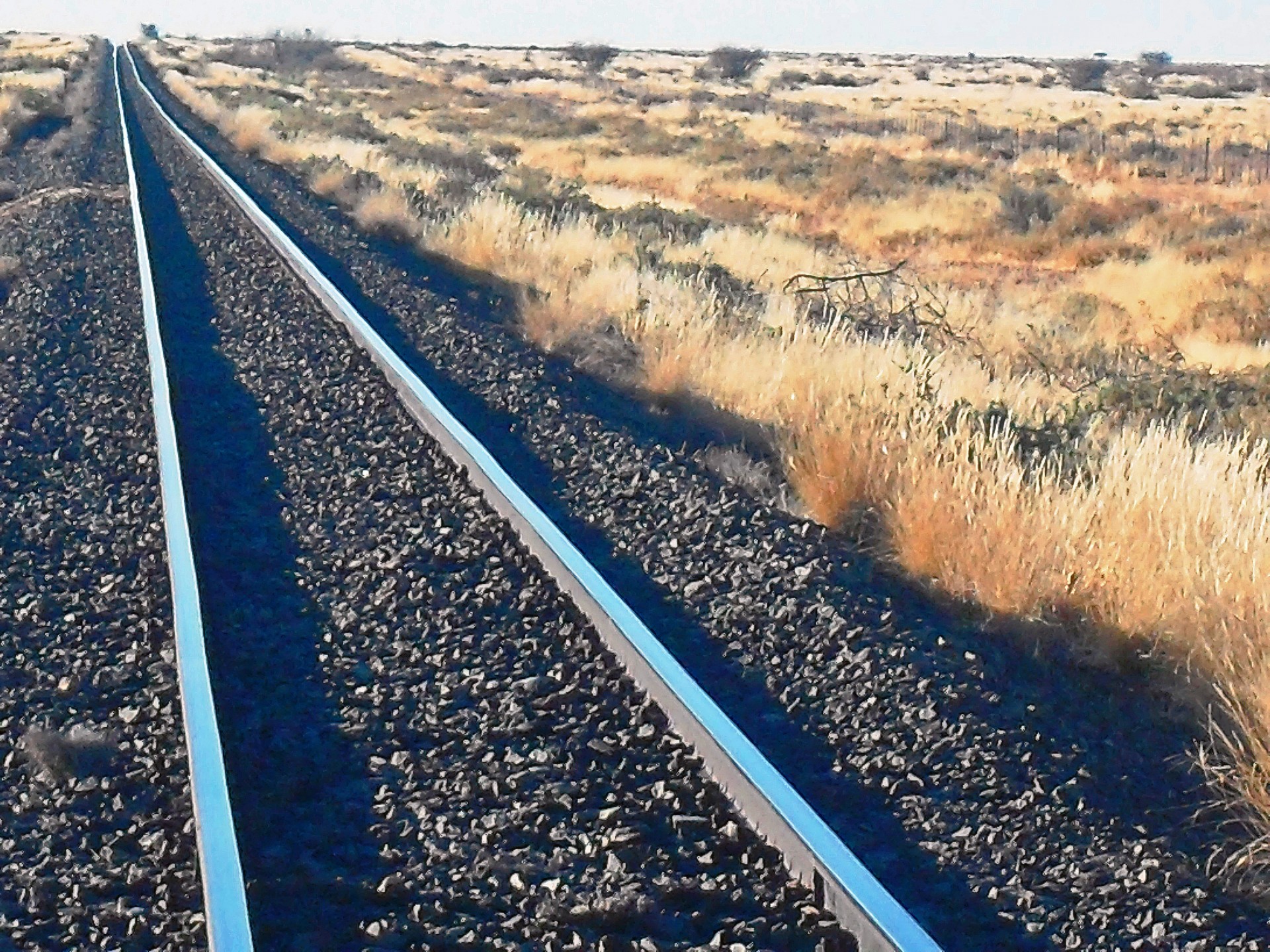 tracks line vanishing point free photo