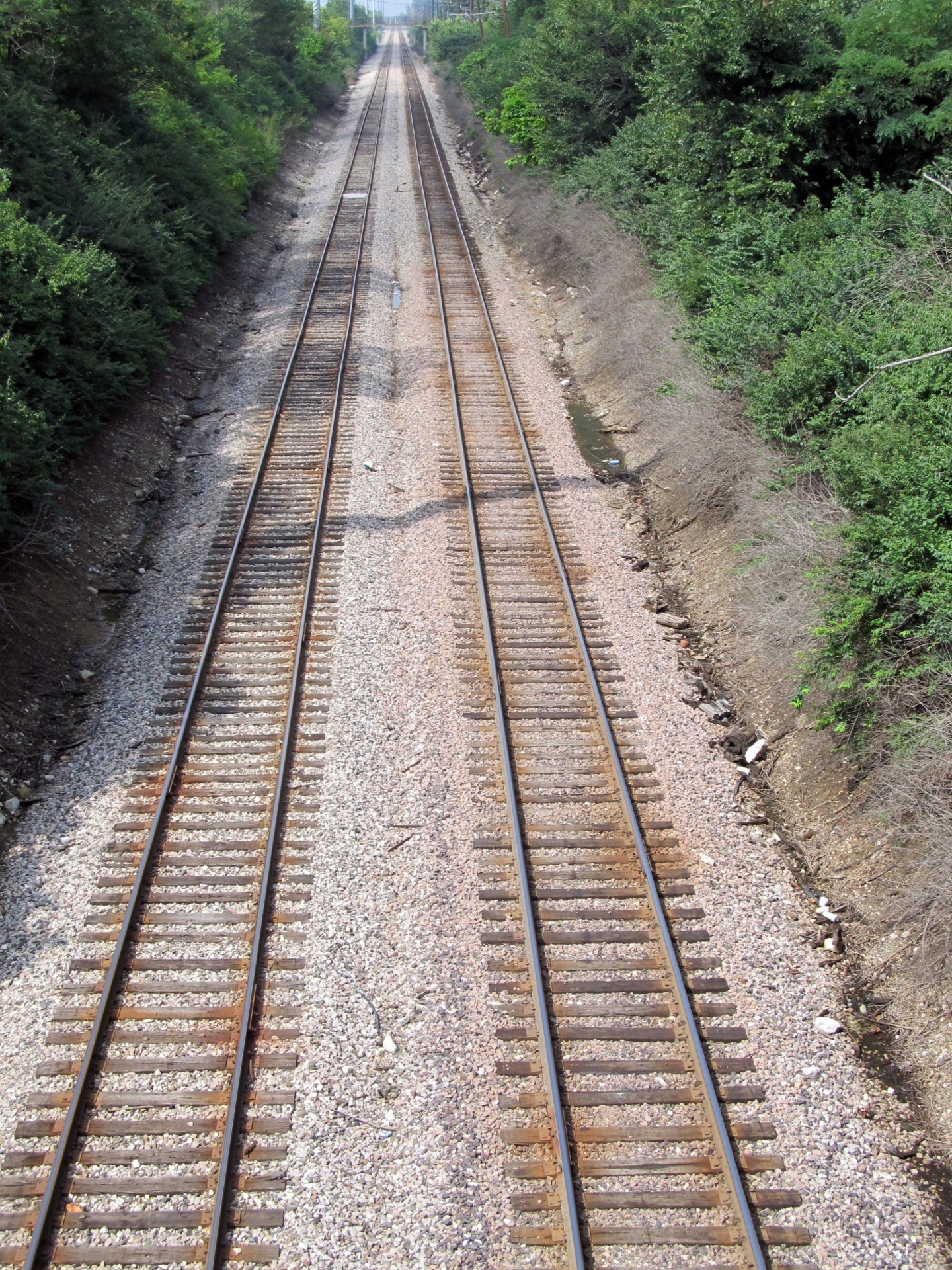 railroad tracks rails railway free photo