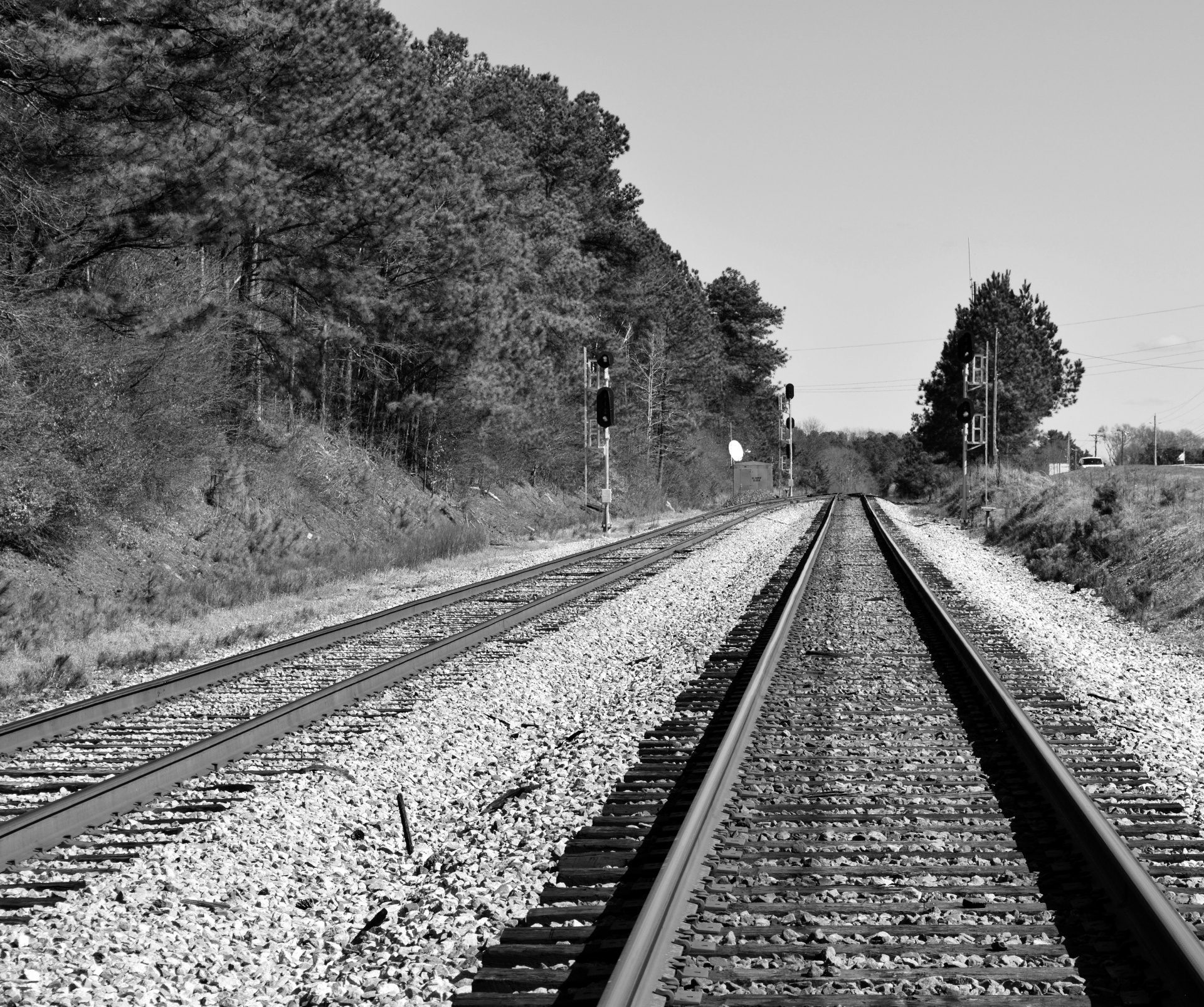 railroad tracks landscape free photo