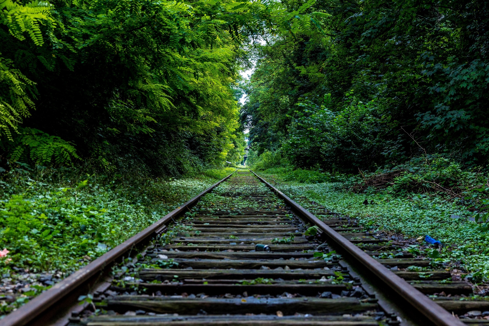 railroad tracks rail free photo