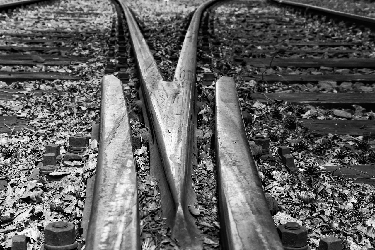 railroad tracks  fork  soft free photo